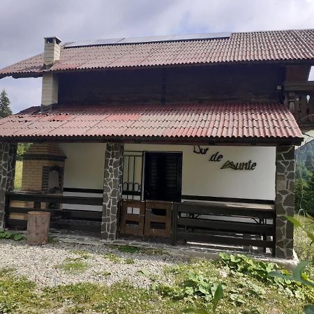 La Cabana Băile Borşa المظهر الخارجي الصورة